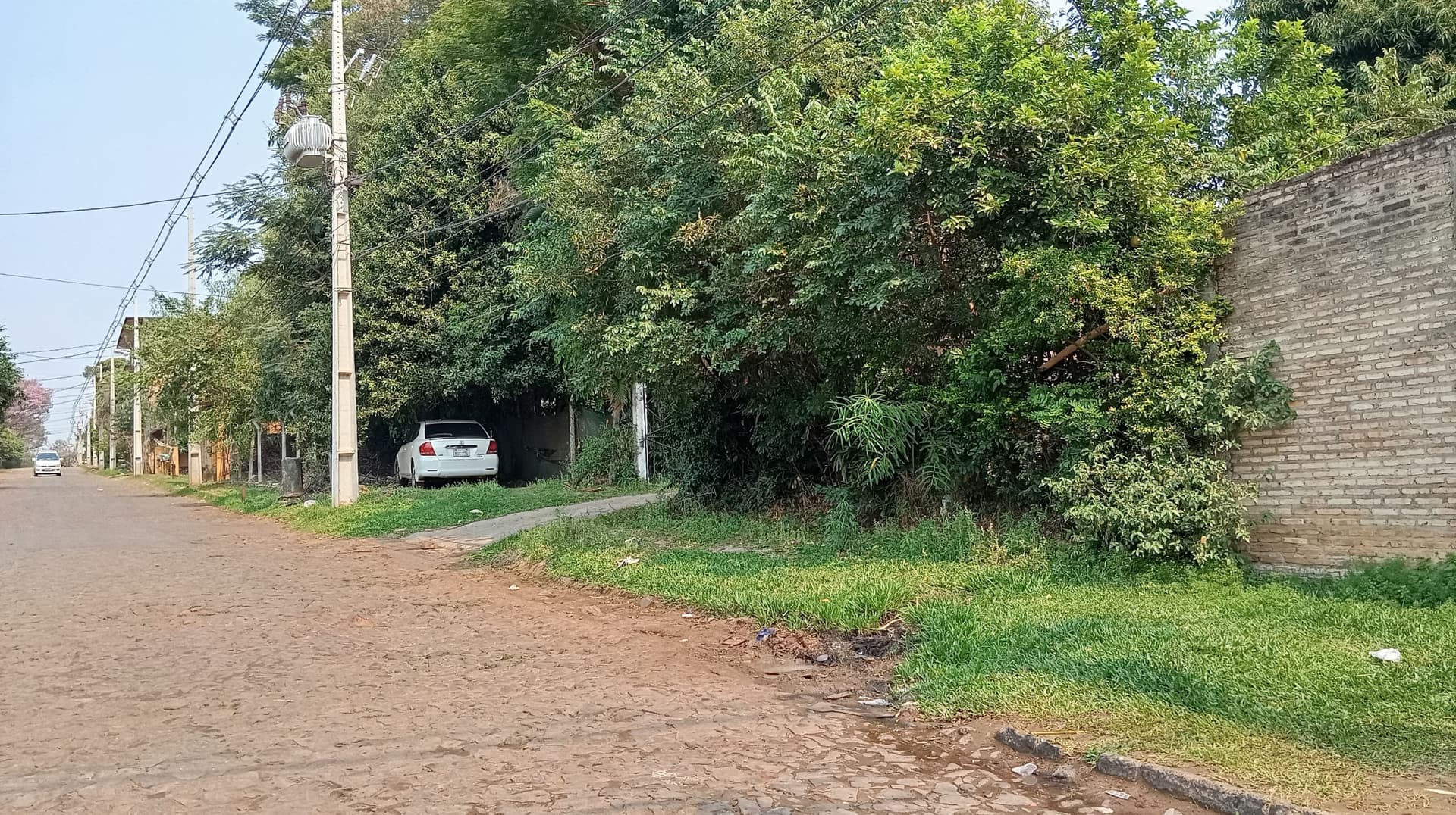 Terreno en esquina premium de 2.528 m² sobre Avelino, foto 4