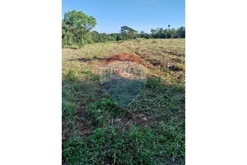 Estancia/Campo-Venta-PY Central Guarambaré, foto 3