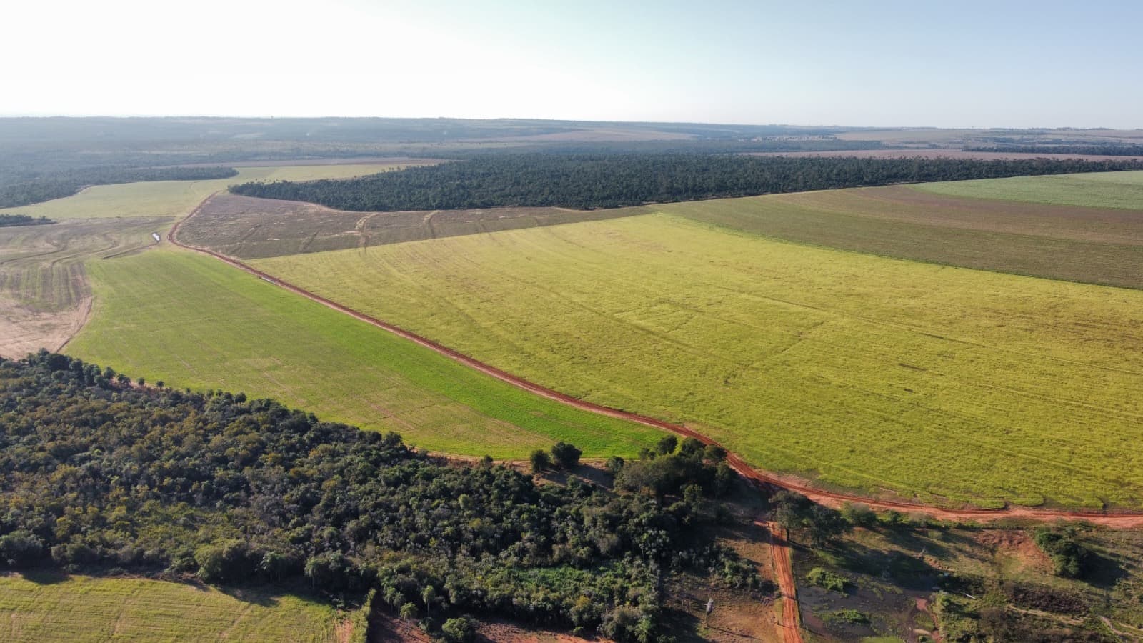 Campo en venta! – 1.001 hectáreas productivas - curuguaty, foto 1