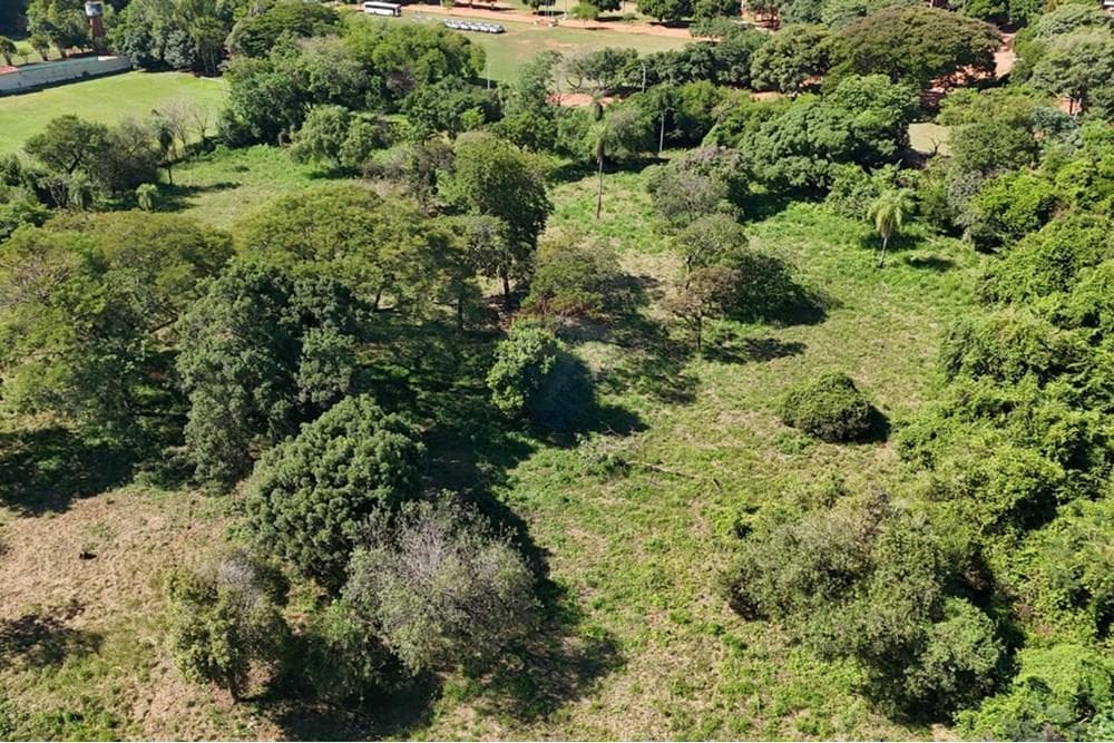 Terreno de 1 Hectárea zona CIT, foto 2