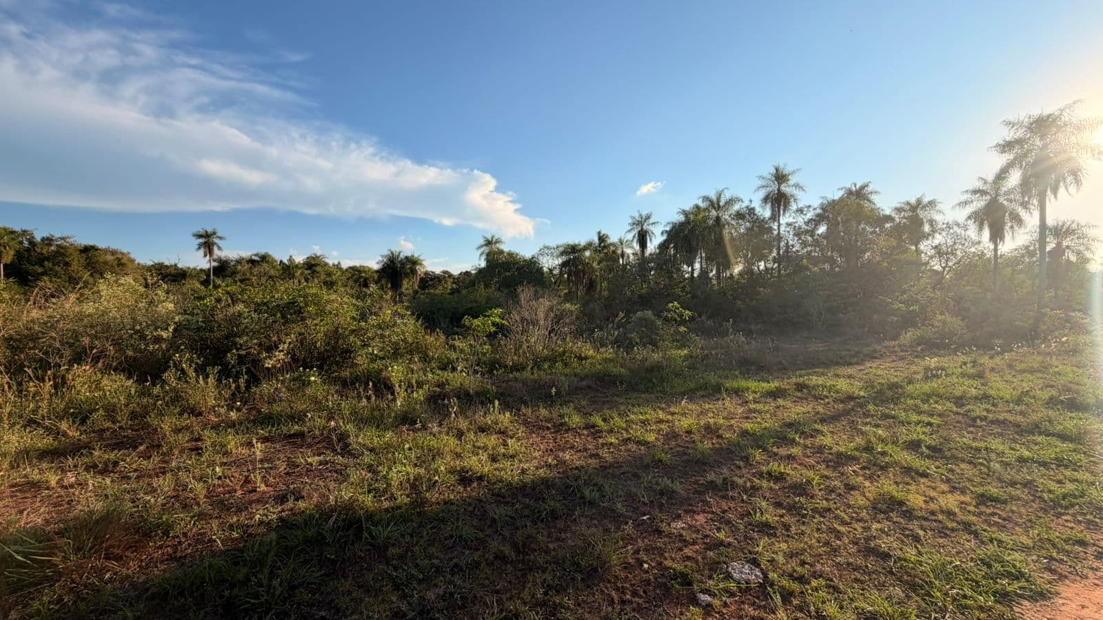Terreno en oferta - piribebuy, foto 3