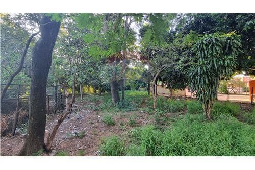 Terreno en venta, Ñemby, foto 4
