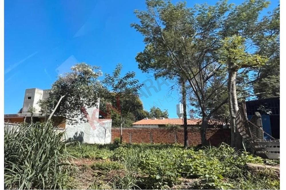 terreno en Zarate isla zona Rakiura, foto 2