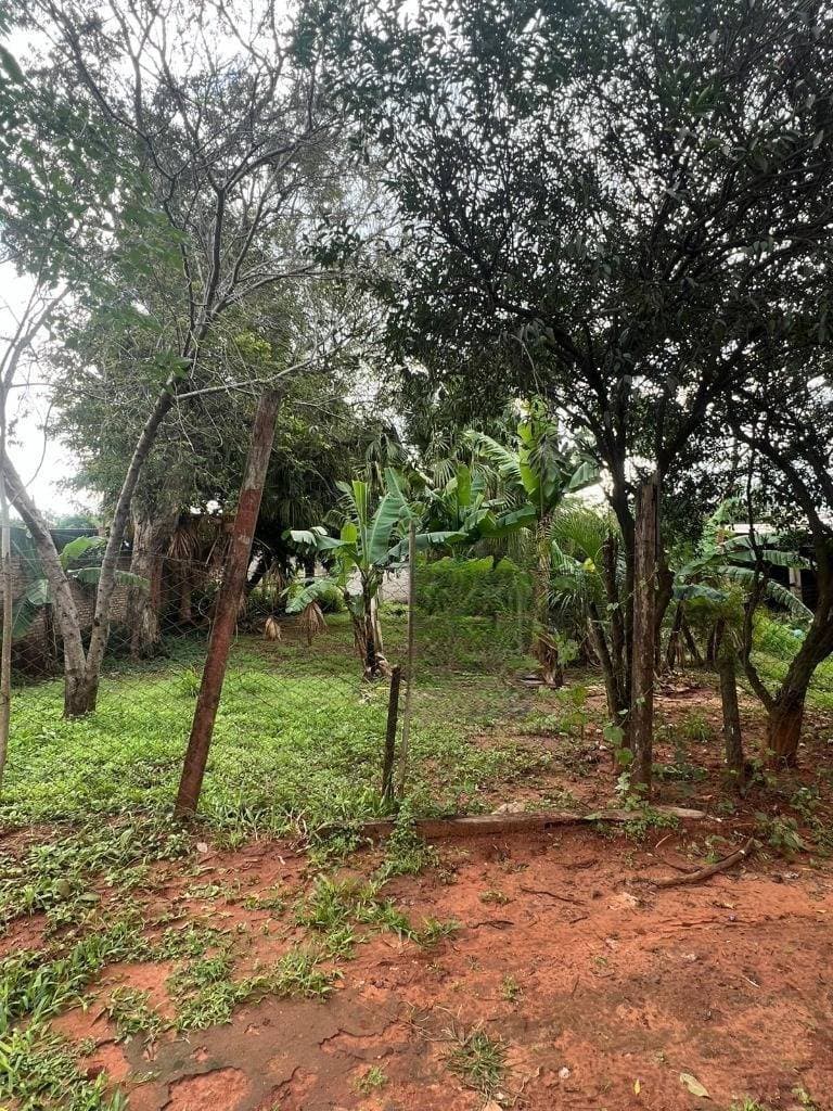En venta terreno en capiata laurelty, foto 3