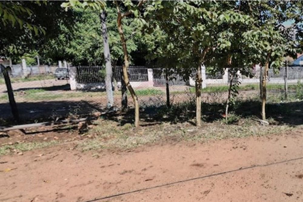 Terreno en venta -villa aurelia, foto 4