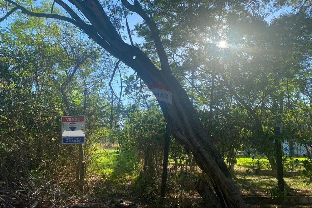 Hermoso Terreno En Sam Bernardino, foto 2