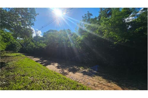 Terreno-Venta-Zona Cristóbal Colón, San Bernardino, Cordillera, foto 4