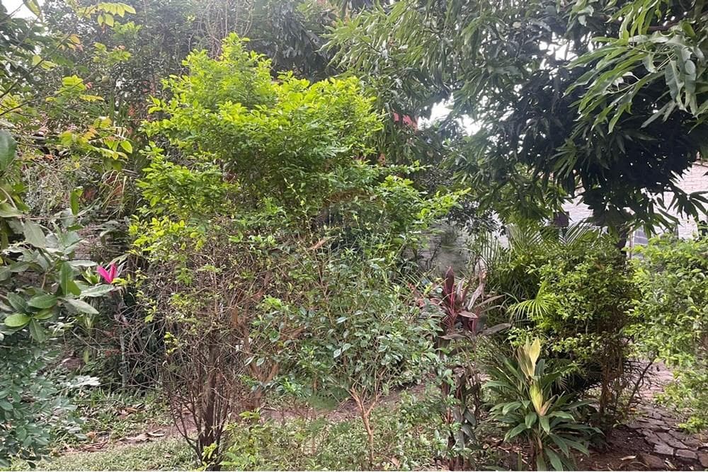 Terreno - Venta - Paraguay Central San Lorenzo, foto 4