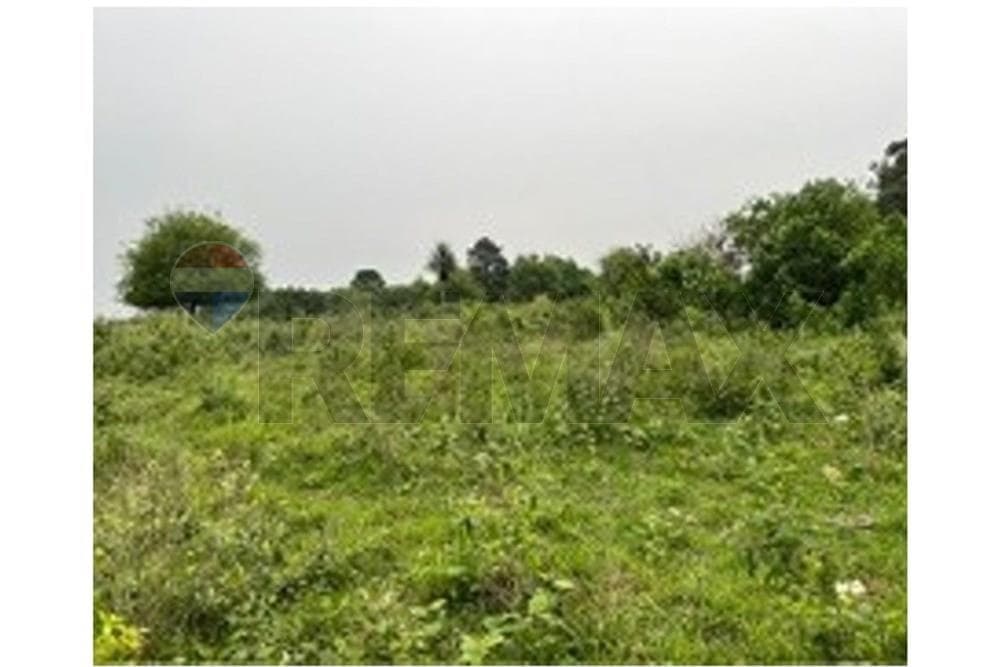 Terreno en alto vera - itapua, foto 2