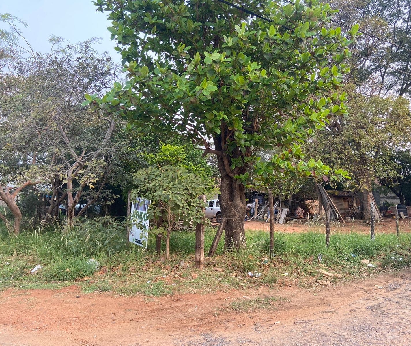 2 terrenos en mra!, foto 2