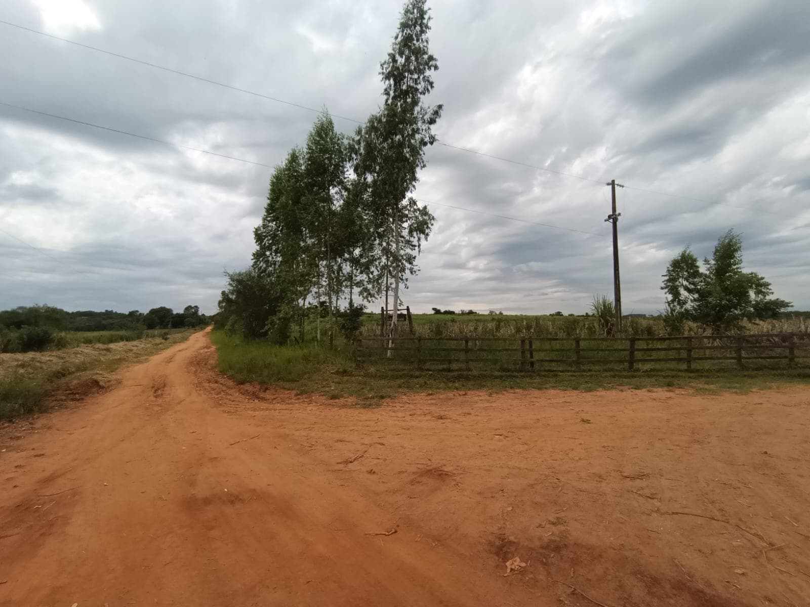 En Venta – 5 Hectáreas En Caaguazú — foto 3