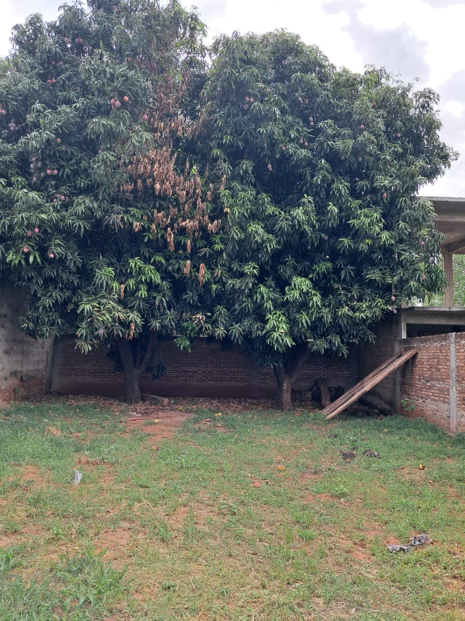 !! Terreno en Fernando de Mora, foto 4