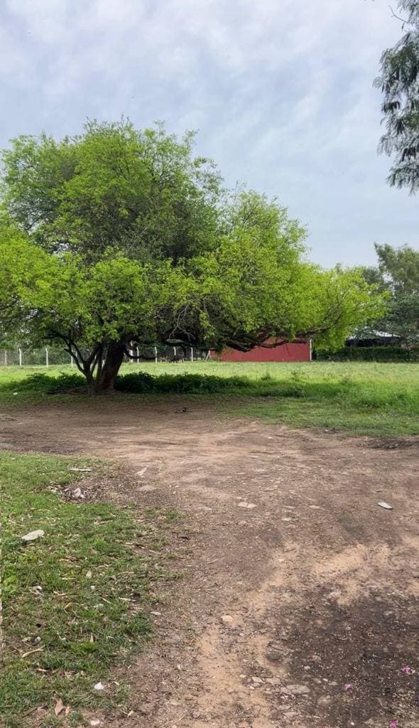 Terreno sobre av principal en sanber, foto 1