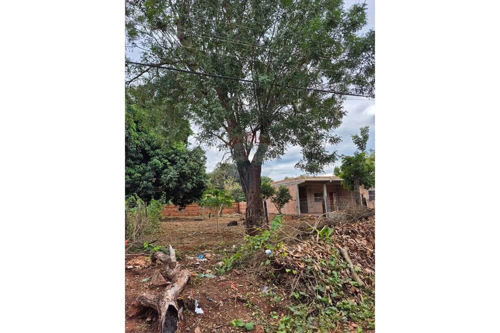 Terreno Ideal para Construir en Capiatá — foto 3