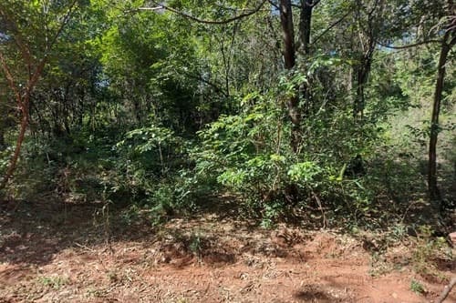 Oportunidad En Areguá – Venta De Terreno Sobre Avenida, foto 2