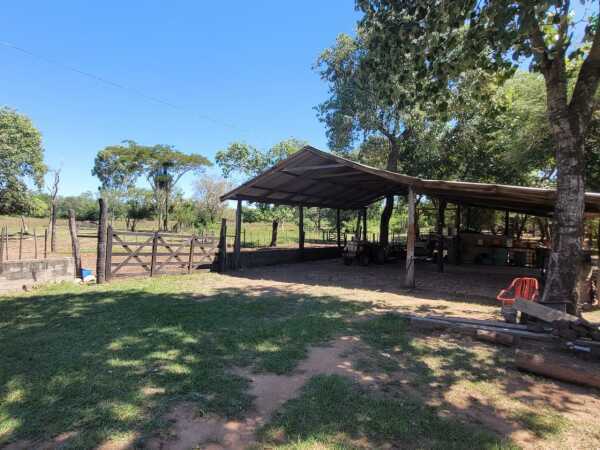 9,5 hectareas en pai ñu, foto 4