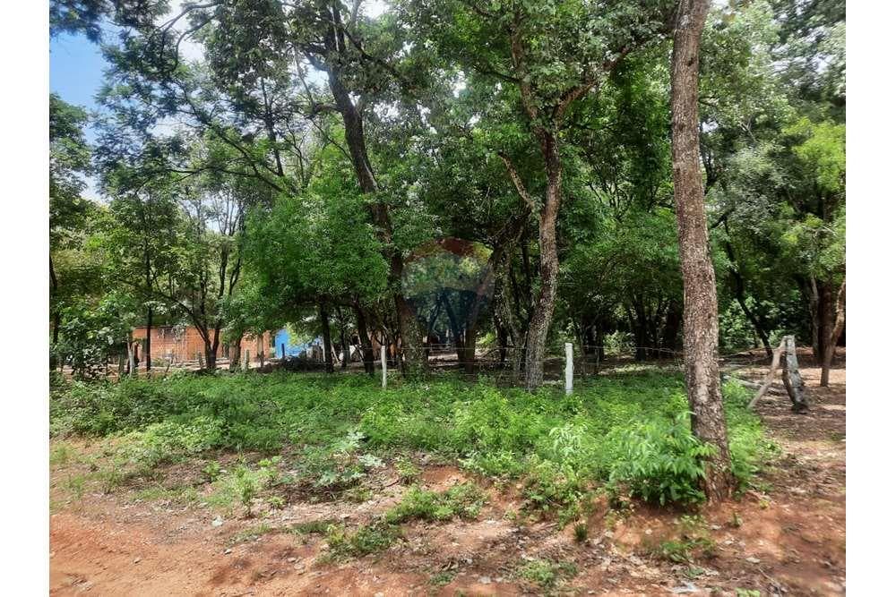 Oportunidad única de terreno San Bernardino, foto 4