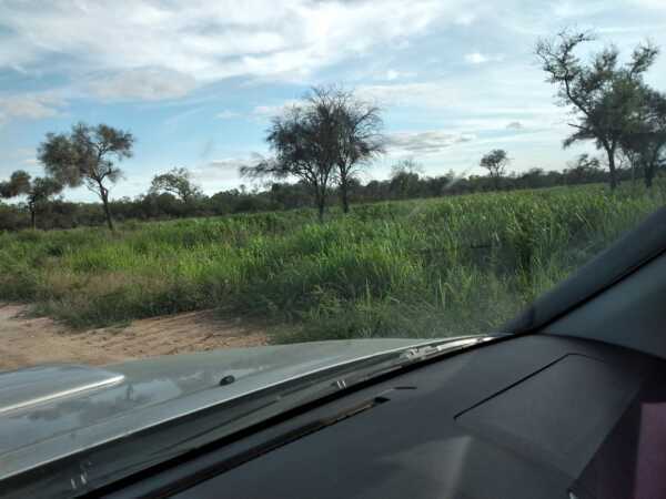 Hermosa estancia de 900has en boquerón, foto 4