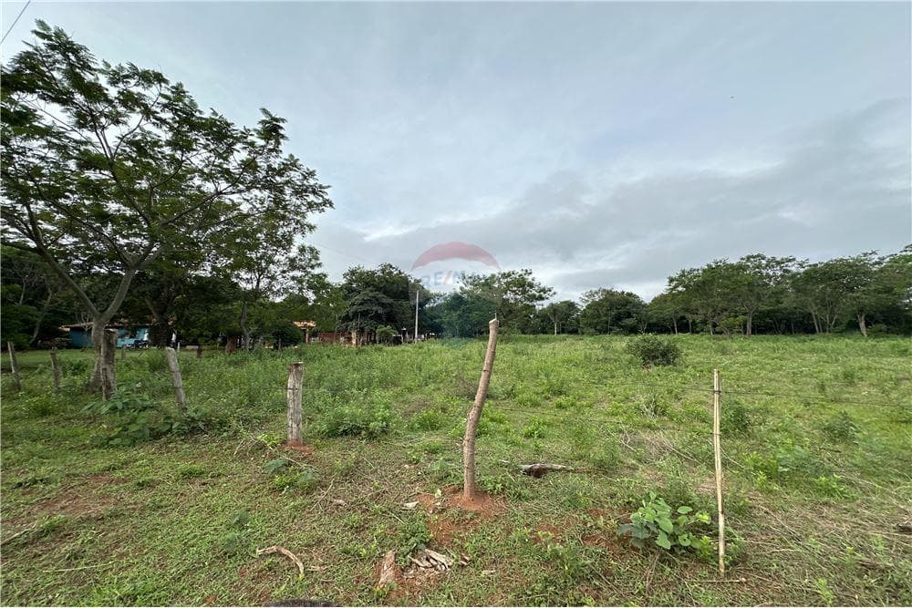 Terreno 5.000 m2 a 350 metros de Ruta 2 - Caacupe, foto 2