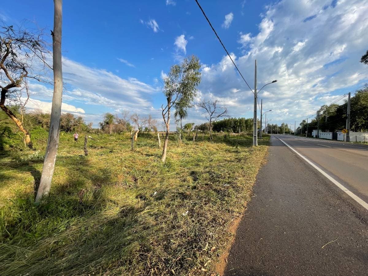 En venta 2 terrenos juntos sobre ruta Luque-sanber zona ciervo cua, foto 1
