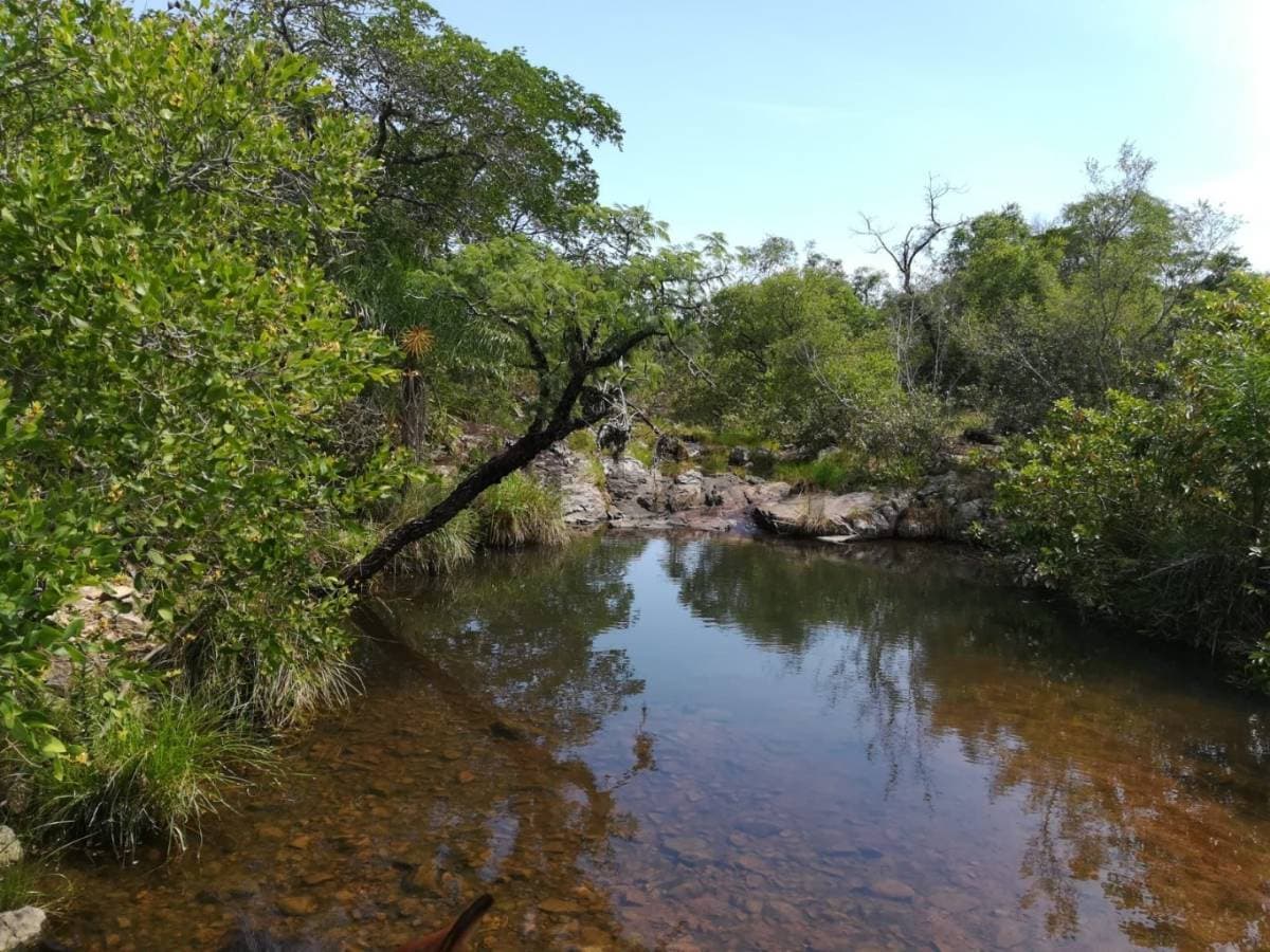 estancia en Caapucu - Departamento de Paraguarí — foto 4