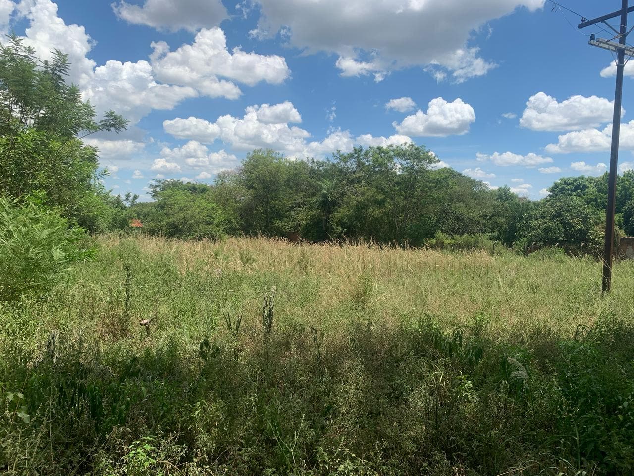 En Venta Terreno De 2.000 M2 En Paraguari Sobre Ruta 1 — foto 4