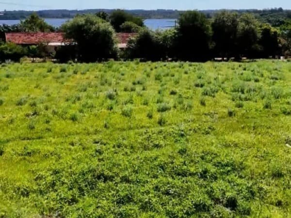 Terreno 3.677 m2 san antonio ypecuru Encarnación a, foto 3