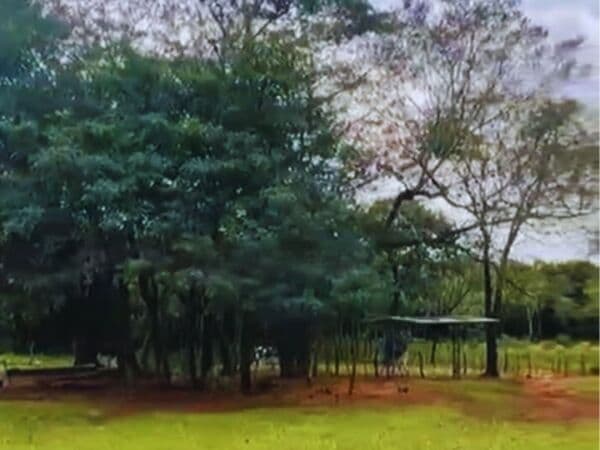 En Venta 50 Ha en Piribebuy, foto 2