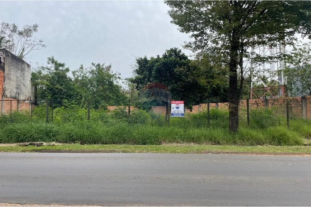 Terreno en alquiler - Luque, foto 1