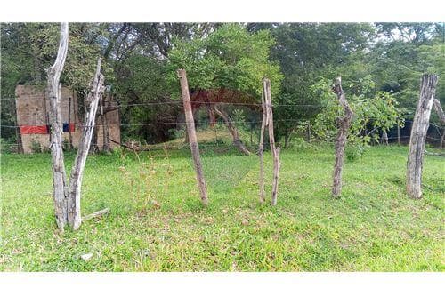 Terreno en venta, ypane, foto 5