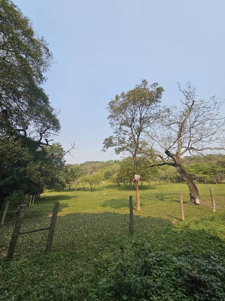 Propiedad en altos, foto 2