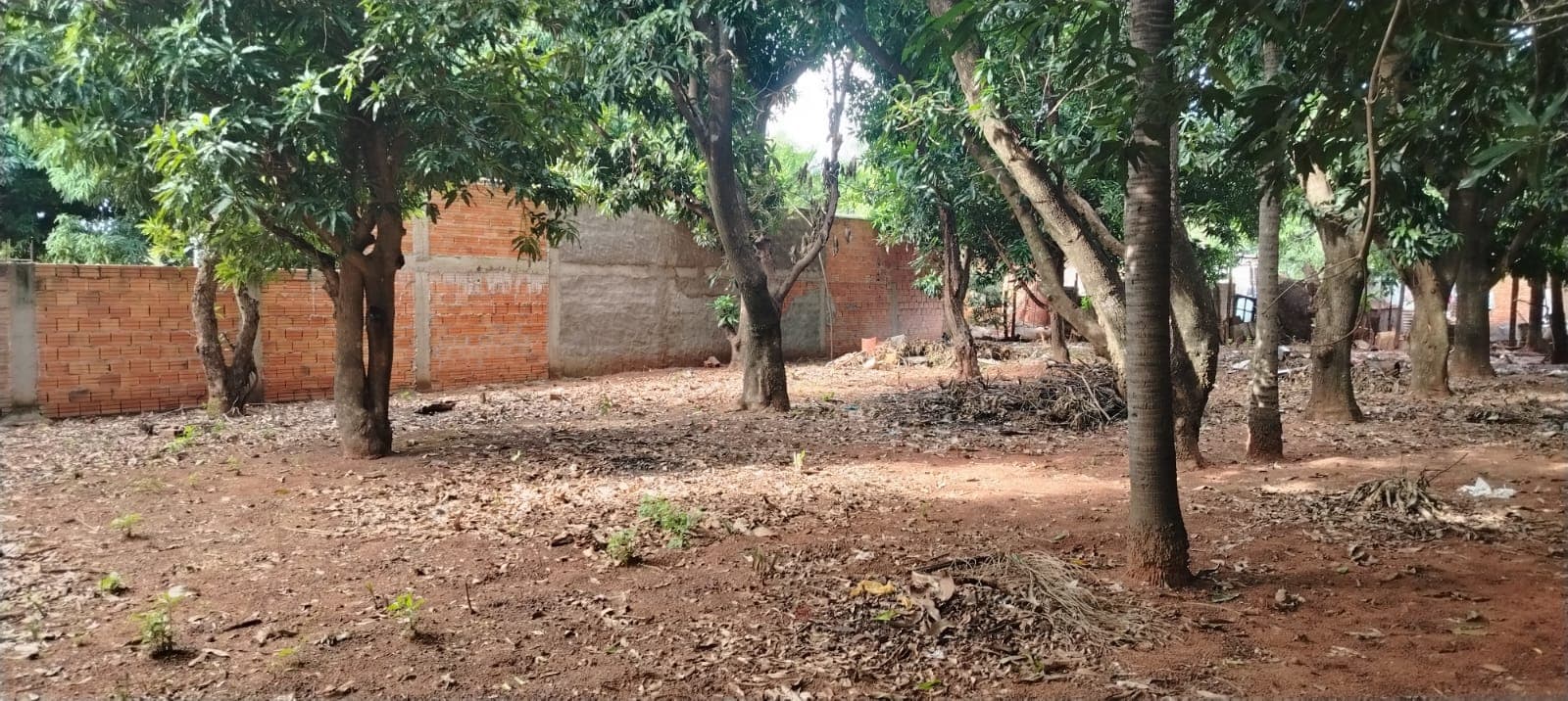 Terreno amplio para duplex o chalet - Luque, Marin Ka´aguy, foto 3
