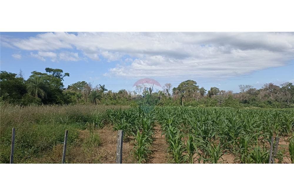 70 hectareas en paraguari mbuyapey, foto 1