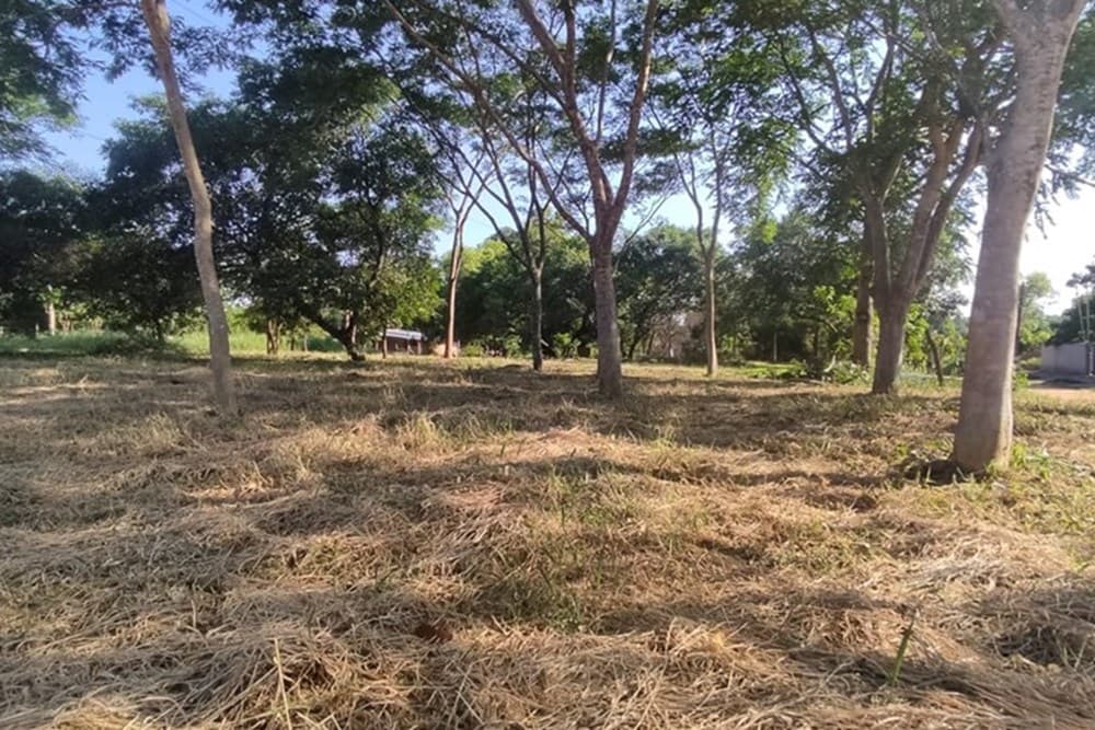 Terreno de 2814 m2 en mbarambure - Luque, foto 2