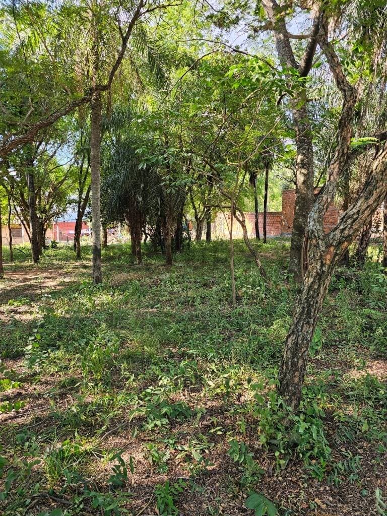 San Bernardino en venta terreno arbolado en excelente ubicación