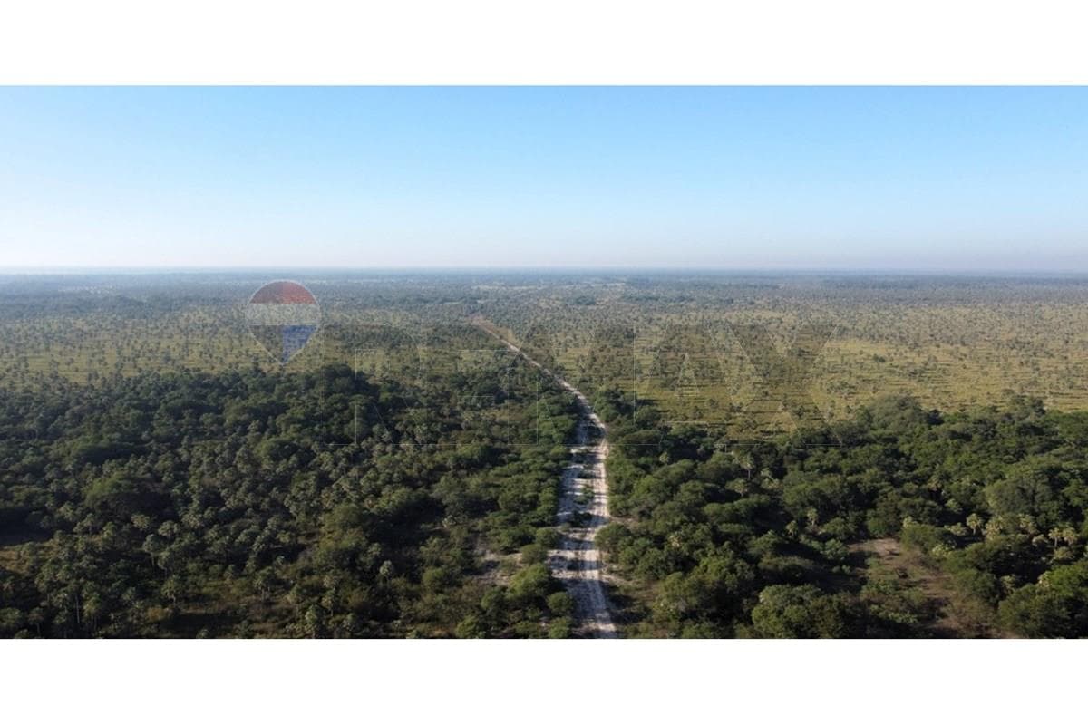 Estancia/Campo - Venta - Benjamín Aceval, Presidente Hayes, Paraguay, foto 2