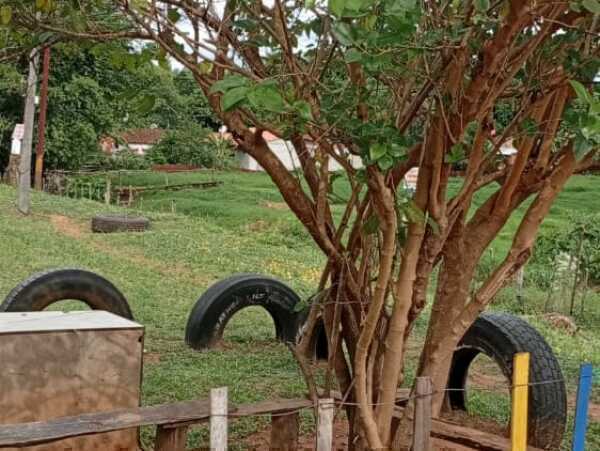 Terreno de 3 hectáreas en zona estratégica de Luque, foto 1