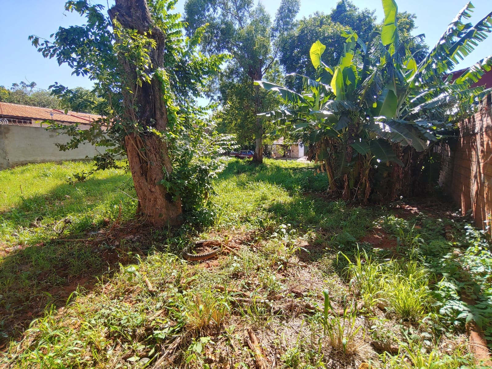 Terreno - San Lorenzo (villa industrial) — foto 4