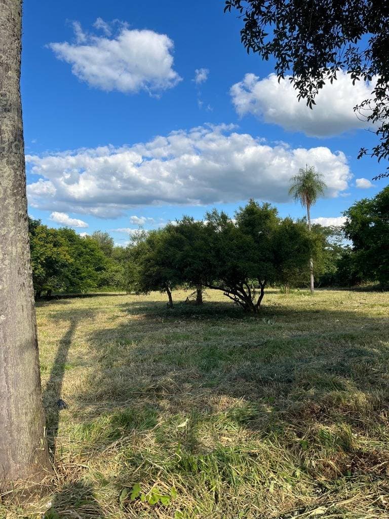 En venta hermoso terreno en Limpio, foto 1