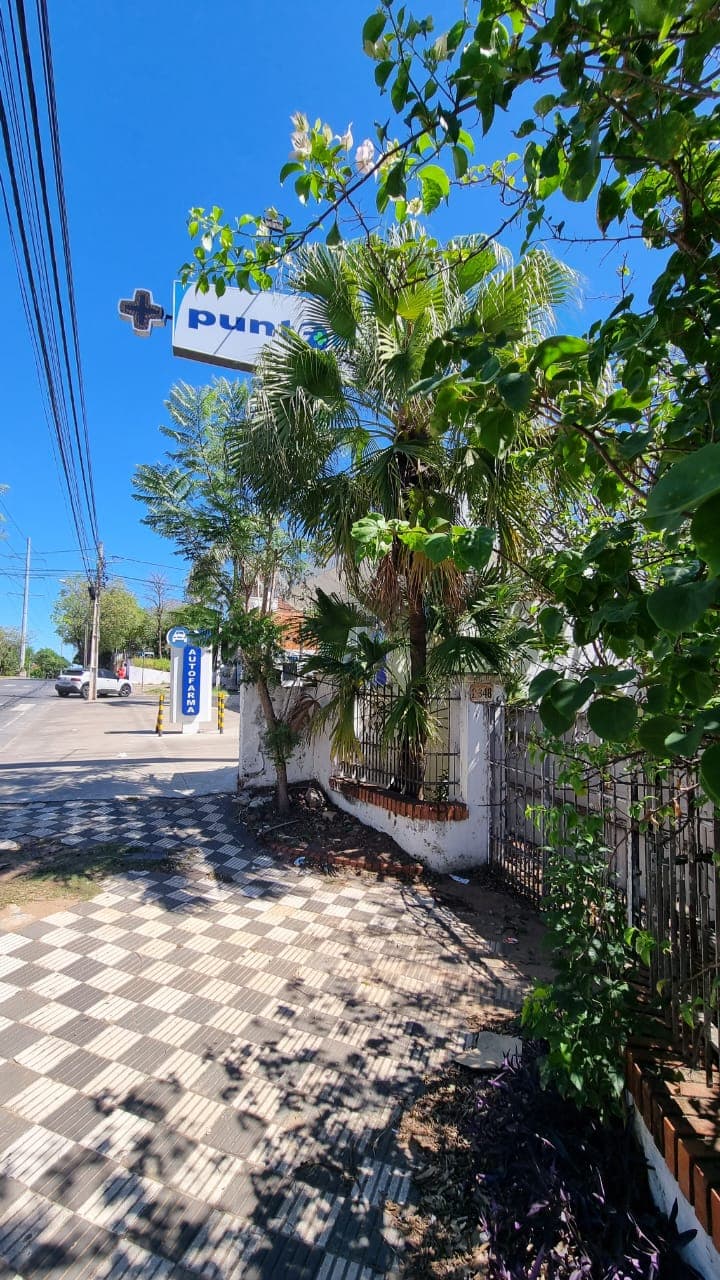 En venta – terreno sobre avda. Félix bogado, Asunción — foto 2