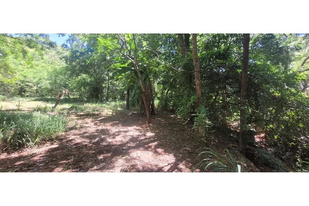 Terreno-Venta-29 de Setiembre y Jacaranda, San Antonio, Central