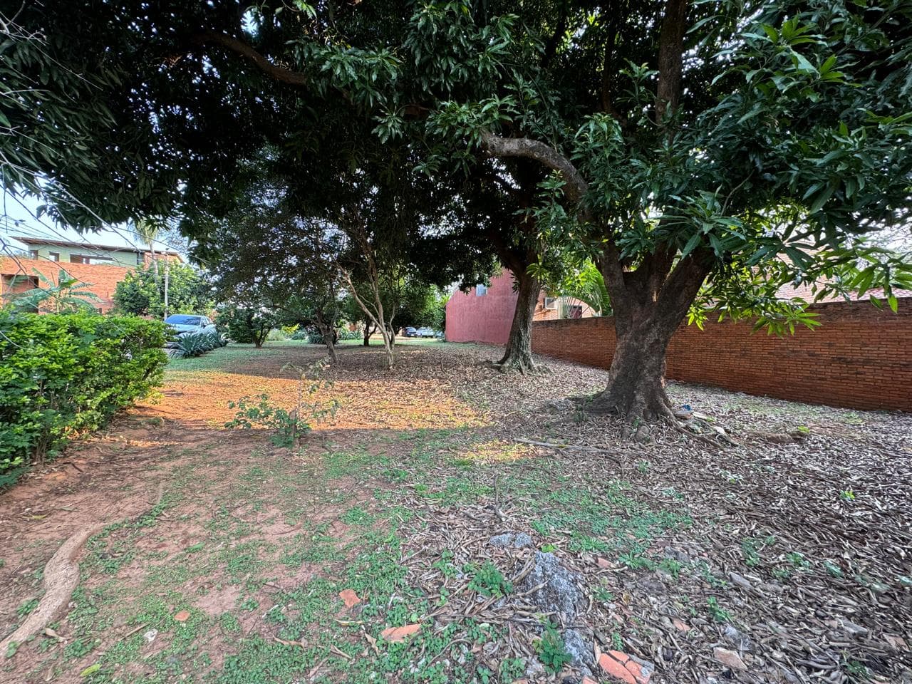 Terreno en Luque zona laurelty, foto 5