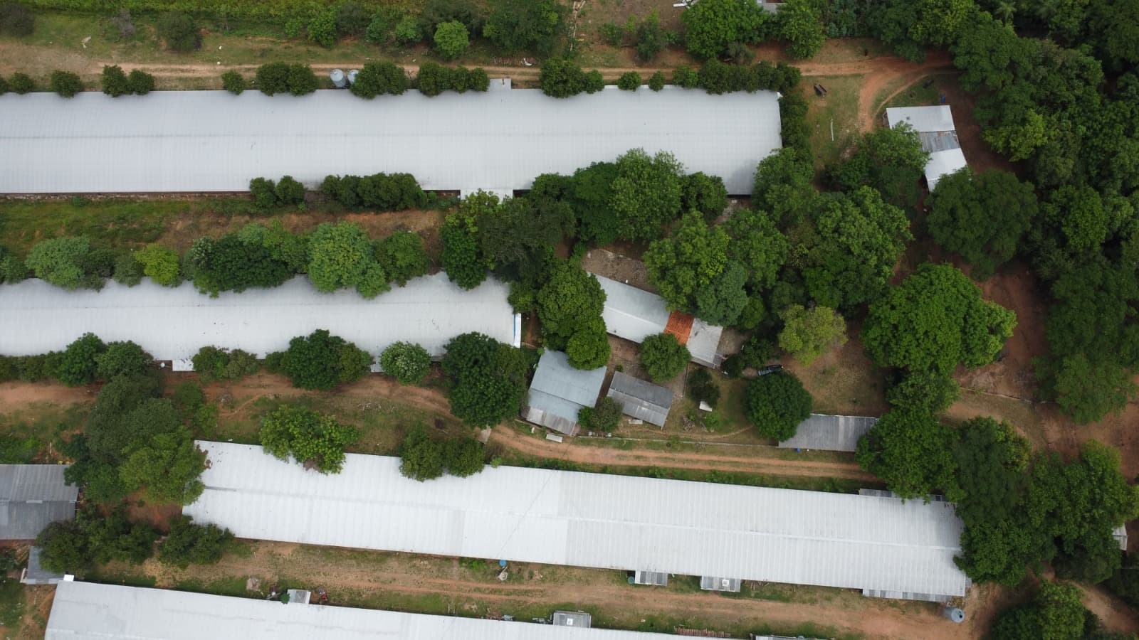 Granja Avícola En Altos — foto 3