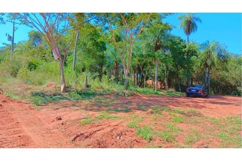 Vendo varios terrenos por thomson !