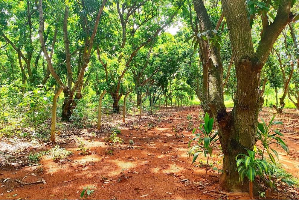 Amplio terreno en Venta Bº SAN ANTONIO - Areguá, foto 2