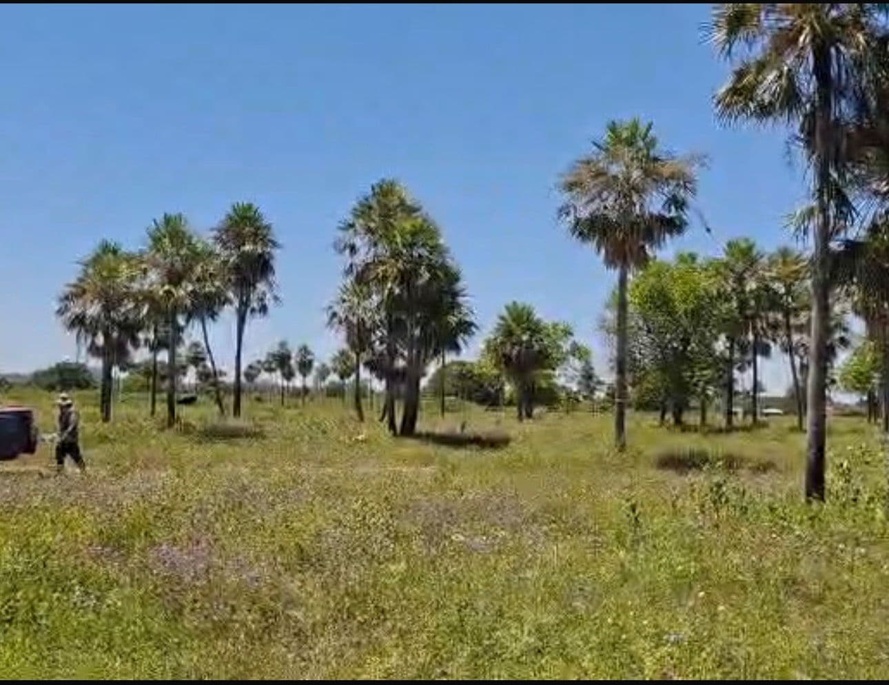 Terreno en chacoi villa hayes, foto 3