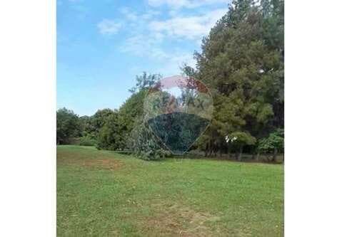 Terreno venta Ypane Ytororo Central, foto 4