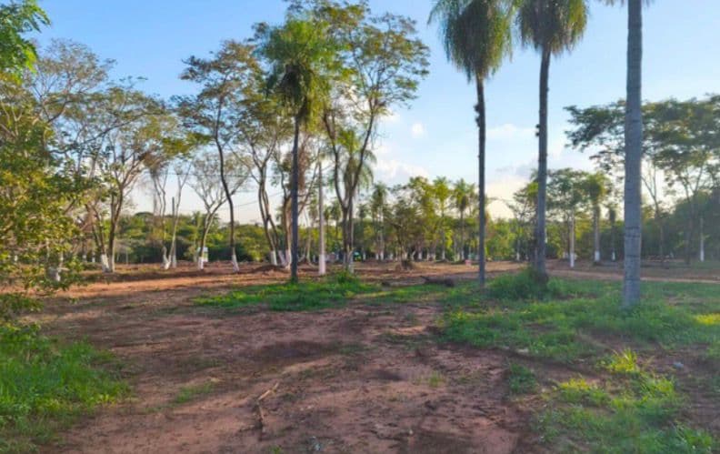 Lotes en la ciudad de Luque itapuami, foto 4