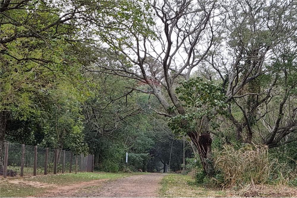 de Gran Terreno en Urbanización Surubi'i, foto 3