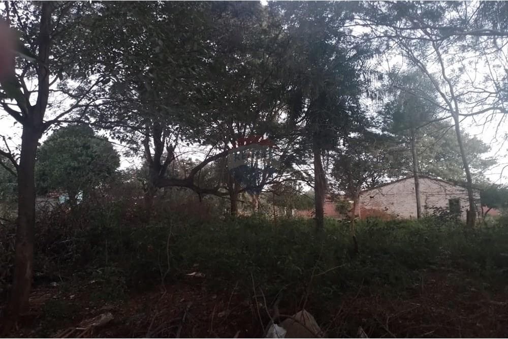 Terreno en capiata, foto 4
